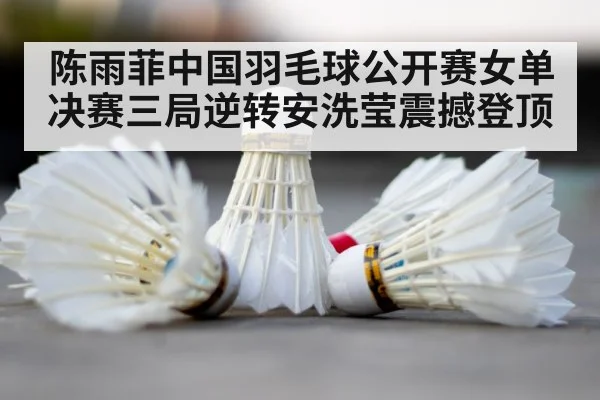 badminton court shuttlecock