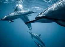 九游会官网-赛后情书：姆总进球，休斯失误，皇马不敌拜仁第二回合恐被惨案？哈弗茨绝杀阿森纳战胜葡体阿尔特塔战略大师！